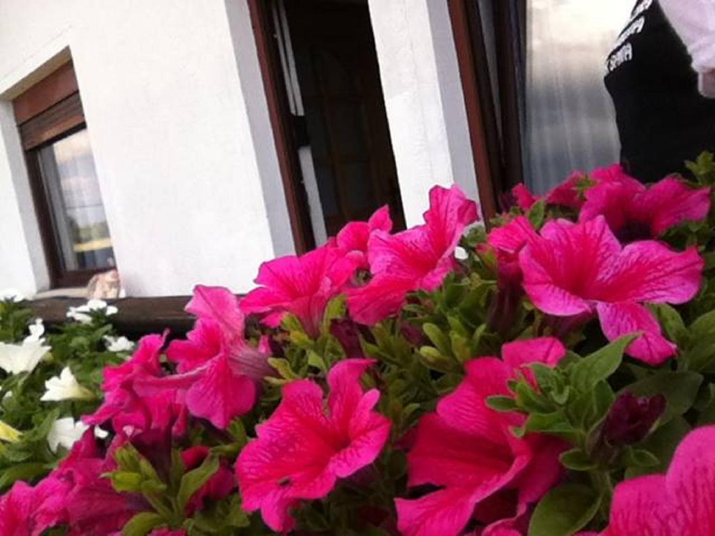Guesthouse Magdalena Rakovica Bilik gambar